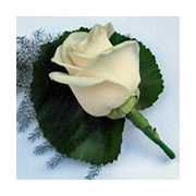 Buttonhole WBH-831