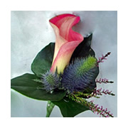 Buttonhole WBH-832