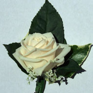 Buttonhole WBH-845