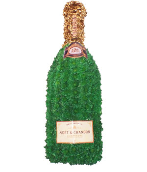 Champagne Bottle