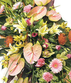 Forever Aways  (Casket)