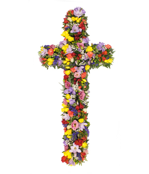 Freesia Cross