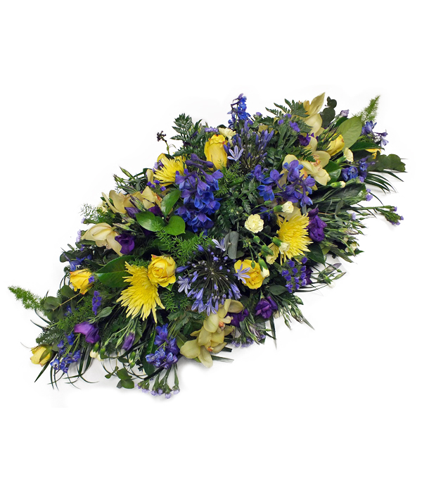 Joyful Thoughts (D/Ended)