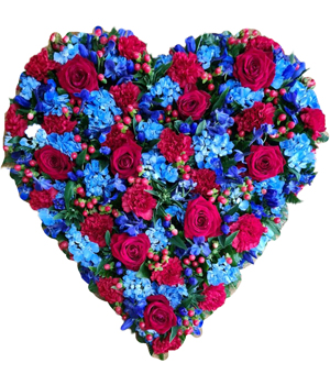 Red and Blue Heart