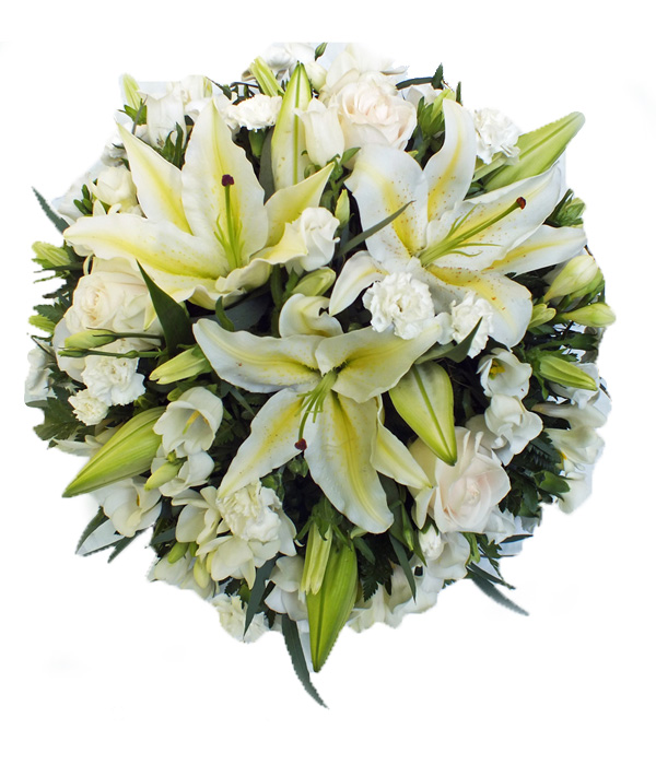 Heavenly Heights  (Posy)