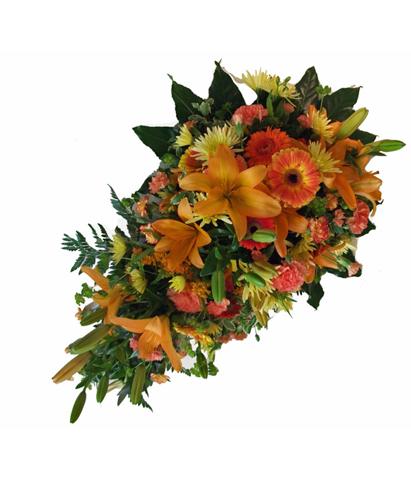 Feel Special  (S/Ended)