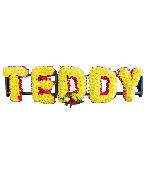 Teddy
