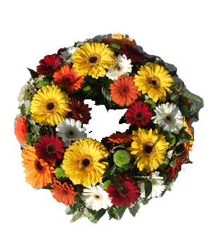 Just Gerberas  (Wreath)